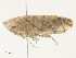  ( - CBG-A38460-C06)  @11 [ ] CreativeCommons - Attribution Share - Alike (2024) CBG Photography Group Centre for Biodiversity Genomics