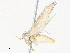  ( - CBG-A38395-C07)  @11 [ ] CreativeCommons - Attribution Share - Alike (2024) CBG Photography Group Centre for Biodiversity Genomics