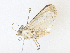  ( - CBG-A38440-F10)  @11 [ ] CreativeCommons - Attribution Share - Alike (2024) CBG Photography Group Centre for Biodiversity Genomics