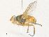  ( - CBG-A38461-E02)  @11 [ ] CreativeCommons - Attribution Share - Alike (2024) CBG Photography Group Centre for Biodiversity Genomics