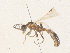  ( - CBG-A38464-H02)  @11 [ ] CreativeCommons - Attribution Share - Alike (2024) CBG Photography Group Centre for Biodiversity Genomics