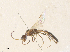  ( - CBG-A38464-H03)  @11 [ ] CreativeCommons - Attribution Share - Alike (2024) CBG Photography Group Centre for Biodiversity Genomics