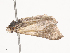  ( - CBG-A38527-F04)  @11 [ ] CreativeCommons - Attribution Share - Alike (2024) CBG Photography Group Centre for Biodiversity Genomics