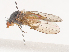  ( - CBG-A40111-F09)  @11 [ ] CreativeCommons - Attribution Share - Alike (2024) CBG Photography Group Centre for Biodiversity Genomics