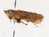  ( - CBG-A40112-A11)  @11 [ ] CreativeCommons - Attribution Share - Alike (2024) CBG Photography Group Centre for Biodiversity Genomics