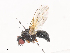  ( - CBG-A40124-H02)  @11 [ ] CreativeCommons - Attribution Share - Alike (2024) CBG Photography Group Centre for Biodiversity Genomics