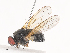  ( - CBG-A40124-H04)  @11 [ ] CreativeCommons - Attribution Share - Alike (2024) CBG Photography Group Centre for Biodiversity Genomics