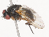  ( - CBG-A40130-A07)  @11 [ ] CreativeCommons - Attribution Share - Alike (2024) CBG Photography Group Centre for Biodiversity Genomics