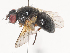  ( - CBG-A40130-B04)  @11 [ ] CreativeCommons - Attribution Share - Alike (2024) CBG Photography Group Centre for Biodiversity Genomics