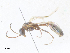  ( - CBG-A40137-D12)  @11 [ ] CreativeCommons - Attribution Share - Alike (2024) CBG Photography Group Centre for Biodiversity Genomics