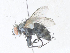  ( - CBG-A40137-E12)  @11 [ ] CreativeCommons - Attribution Share - Alike (2024) CBG Photography Group Centre for Biodiversity Genomics