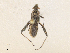  ( - CBG-A40137-H03)  @11 [ ] CreativeCommons - Attribution Share - Alike (2024) CBG Photography Group Centre for Biodiversity Genomics