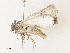  ( - CBG-A40138-E06)  @11 [ ] CreativeCommons - Attribution Share - Alike (2024) CBG Photography Group Centre for Biodiversity Genomics