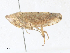  ( - CBG-A40140-F12)  @11 [ ] CreativeCommons - Attribution Share - Alike (2024) CBG Photography Group Centre for Biodiversity Genomics