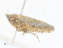  ( - CBG-A40140-G01)  @11 [ ] CreativeCommons - Attribution Share - Alike (2024) CBG Photography Group Centre for Biodiversity Genomics