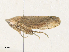  ( - CBG-A40140-G04)  @11 [ ] CreativeCommons - Attribution Share - Alike (2024) CBG Photography Group Centre for Biodiversity Genomics