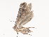  ( - CBG-A40143-E06)  @11 [ ] CreativeCommons - Attribution Share - Alike (2024) CBG Photography Group Centre for Biodiversity Genomics