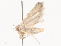  ( - CBG-A40143-E07)  @11 [ ] CreativeCommons - Attribution Share - Alike (2024) CBG Photography Group Centre for Biodiversity Genomics