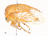  ( - CBG-A40143-F03)  @11 [ ] CreativeCommons - Attribution Share - Alike (2024) CBG Photography Group Centre for Biodiversity Genomics