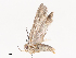  ( - CBG-A40156-D12)  @11 [ ] CreativeCommons - Attribution Share - Alike (2024) CBG Photography Group Centre for Biodiversity Genomics