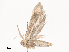  ( - CBG-A40156-E02)  @11 [ ] CreativeCommons - Attribution Share - Alike (2024) CBG Photography Group Centre for Biodiversity Genomics