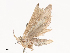  ( - CBG-A40156-F04)  @11 [ ] CreativeCommons - Attribution Share - Alike (2024) CBG Photography Group Centre for Biodiversity Genomics