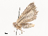  ( - CBG-A40156-F05)  @11 [ ] CreativeCommons - Attribution Share - Alike (2024) CBG Photography Group Centre for Biodiversity Genomics