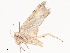  ( - CBG-A40156-F06)  @11 [ ] CreativeCommons - Attribution Share - Alike (2024) CBG Photography Group Centre for Biodiversity Genomics