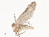  ( - CBG-A40156-F08)  @11 [ ] CreativeCommons - Attribution Share - Alike (2024) CBG Photography Group Centre for Biodiversity Genomics