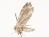  ( - CBG-A40156-F11)  @11 [ ] CreativeCommons - Attribution Share - Alike (2024) CBG Photography Group Centre for Biodiversity Genomics