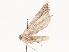  ( - CBG-A40156-G10)  @11 [ ] CreativeCommons - Attribution Share - Alike (2024) CBG Photography Group Centre for Biodiversity Genomics