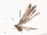  ( - CBG-A40162-G11)  @11 [ ] CreativeCommons - Attribution Share - Alike (2024) CBG Photography Group Centre for Biodiversity Genomics
