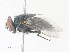  ( - CBG-A40178-C11)  @11 [ ] CreativeCommons - Attribution Share - Alike (2024) CBG Photography Group Centre for Biodiversity Genomics