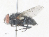  ( - CBG-A40178-C12)  @11 [ ] CreativeCommons - Attribution Share - Alike (2024) CBG Photography Group Centre for Biodiversity Genomics