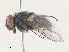  ( - CBG-A40178-D04)  @11 [ ] CreativeCommons - Attribution Share - Alike (2024) CBG Photography Group Centre for Biodiversity Genomics