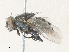  ( - CBG-A40178-D06)  @11 [ ] CreativeCommons - Attribution Share - Alike (2024) CBG Photography Group Centre for Biodiversity Genomics