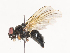  ( - CBG-A40113-A06)  @11 [ ] CreativeCommons - Attribution Share - Alike (2024) CBG Photography Group Centre for Biodiversity Genomics