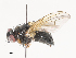  ( - CBG-A40113-B11)  @11 [ ] CreativeCommons - Attribution Share - Alike (2024) CBG Photography Group Centre for Biodiversity Genomics