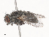  ( - CBG-A44402-E08)  @11 [ ] CreativeCommons - Attribution Share - Alike (2024) CBG Photography Group Centre for Biodiversity Genomics