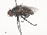  ( - CBG-A45188-C11)  @11 [ ] CreativeCommons - Attribution Share - Alike (2024) CBG Photography Group Centre for Biodiversity Genomics