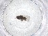  ( - CBG-A53789-H01)  @11 [ ] CreativeCommons - Attribution Share - Alike (2024) Centre for Biodiversity Genomics Centre for Biodiversity Genomics