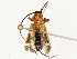  ( - CBG-A51957-A06)  @11 [ ] CreativeCommons - Attribution Share - Alike (2024) CBG Photography Group Centre for Biodiversity Genomics