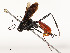  ( - CBG-A51958-E02)  @11 [ ] CreativeCommons - Attribution Share - Alike (2024) CBG Photography Group Centre for Biodiversity Genomics