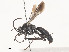  ( - CBG-A51985-D04)  @11 [ ] CreativeCommons - Attribution Share - Alike (2024) CBG Photography Group Centre for Biodiversity Genomics