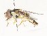  ( - CBG-A51991-B04)  @11 [ ] CreativeCommons - Attribution Share - Alike (2024) CBG Photography Group Centre for Biodiversity Genomics
