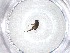  ( - CBG-A52811-H09)  @11 [ ] CreativeCommons - Attribution Share - Alike (2024) Centre for Biodiversity Genomics Centre for Biodiversity Genomics