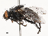  ( - CBG-A53656-B02)  @11 [ ] CreativeCommons - Attribution Share - Alike (2024) CBG Photography Group Centre for Biodiversity Genomics