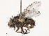  ( - CBG-A53657-A04)  @11 [ ] CreativeCommons - Attribution Share - Alike (2024) CBG Photography Group Centre for Biodiversity Genomics