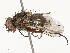  ( - CBG-A53657-C01)  @11 [ ] CreativeCommons - Attribution Share - Alike (2024) CBG Photography Group Centre for Biodiversity Genomics