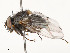  ( - CBG-A53657-C04)  @11 [ ] CreativeCommons - Attribution Share - Alike (2024) CBG Photography Group Centre for Biodiversity Genomics